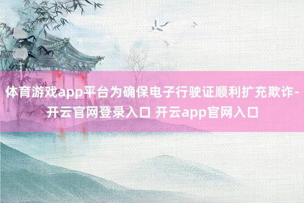 体育游戏app平台为确保电子行驶证顺利扩充欺诈-开云官网登录入口 开云app官网入口