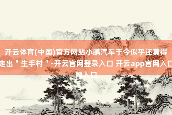 开云体育(中国)官方网站小鹏汽车于今似乎还莫得走出＂生手村＂-开云官网登录入口 开云app官网入口