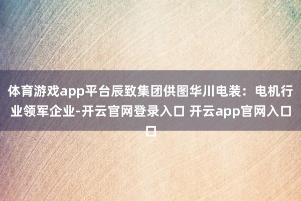 体育游戏app平台辰致集团供图华川电装：电机行业领军企业-开云官网登录入口 开云app官网入口