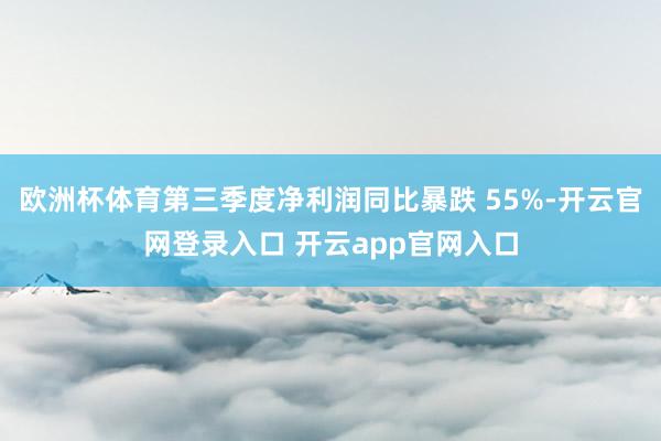 欧洲杯体育第三季度净利润同比暴跌 55%-开云官网登录入口 开云app官网入口