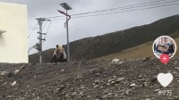 高速管事区充电桩被示知无法使用:有只狗熊一直守着